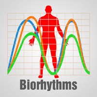 The Biorhythm